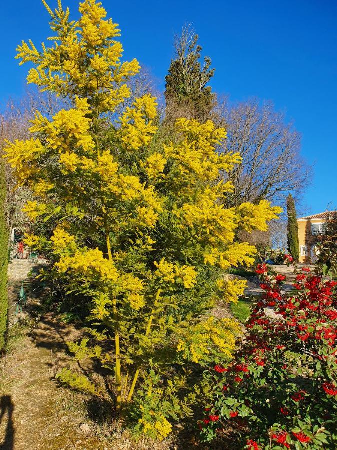 Monteze Paradis Saint-Christol-les-Ales ภายนอก รูปภาพ